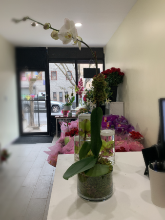 Royal white orchid arrangement  