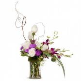 Royalty Arrangement