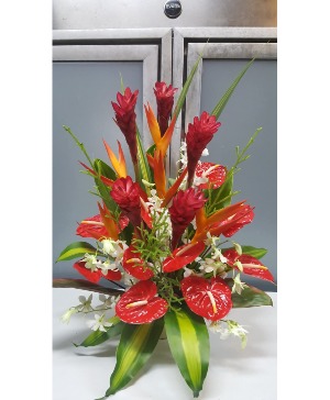 Ruby Anthurium  250.95