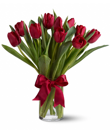 Ruby Red Bunch Tulips