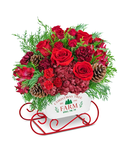 Ruby Rhapsody Keepsake Sleigh 