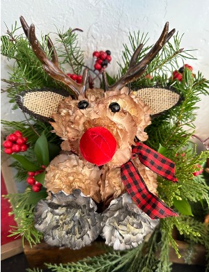 Rudolph the Red Nose Reindeer 