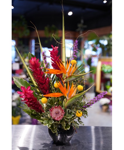 Rum Punch Tropical Design 