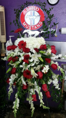 Run Mustang Run  Funeral 