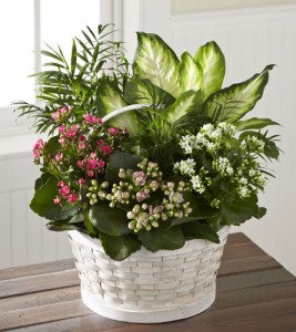Rural Beauty Garden Planter 