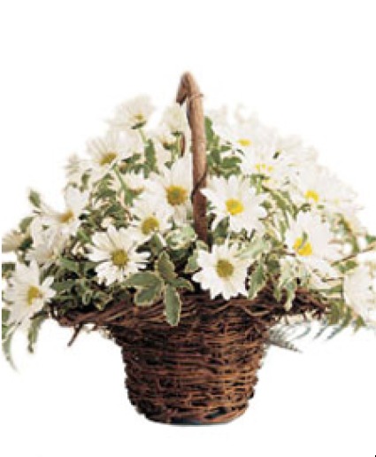 Rustic Basket with Daisies 