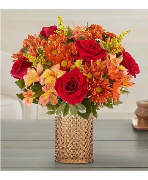 Rustic Radiance 192454 