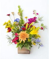 Rustic Radiance 