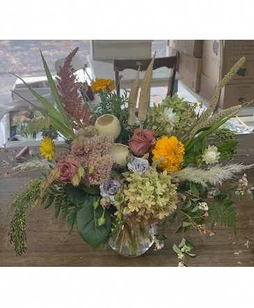 Rustic Sass  in Klamath Falls, OR | Yarrow in Bloom