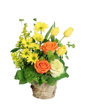 Rustic Serenity Floral Design  in Albany, NY | Ambiance Florals & Events