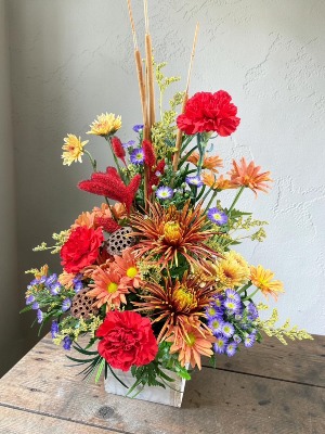 Rustic Treasure 