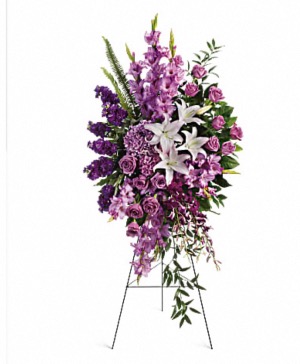 Sacred garden spray  