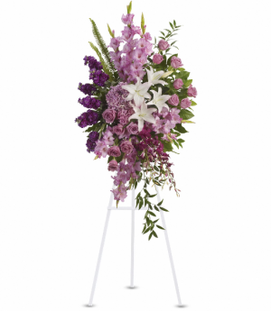 Sacred Garden Spray T249-4A