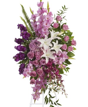 Sacred Garden   T249-4 