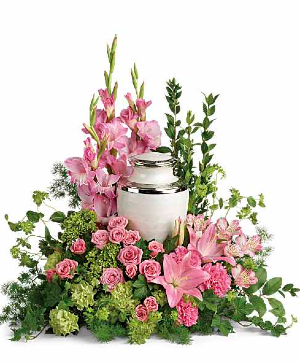 Sacred Solace Cremation Tribute 