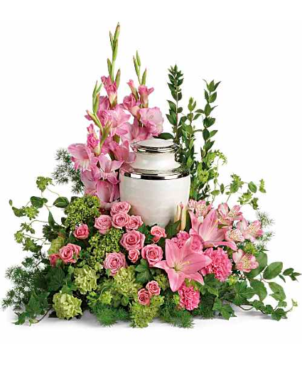 Sacred Solace Cremation Tribute 