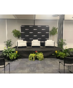 Mixed SW and Tropical Plants  Plant Rentals