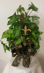 SAINTS PLANT 