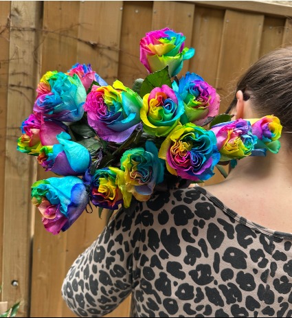 Rainbow Coloured Roses Show your Pride!