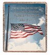 Salute To Our Soldiers Throw