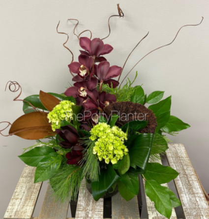Rich Orchids 