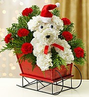 One Dog Open Sleigh Keepsake sSeigh
