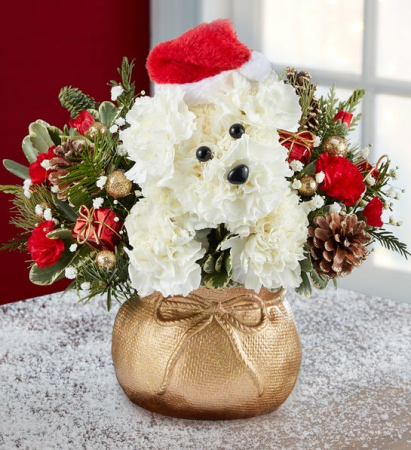 Santa Paws 