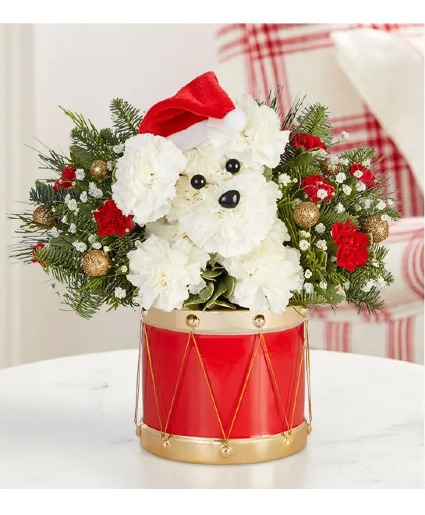 Santa Paws 