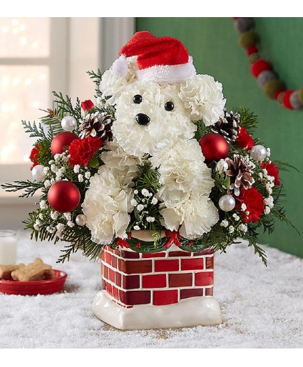 SANTA PAWS 
