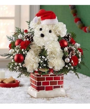 SANTA PAWS  