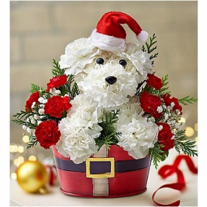 Santa Paws Christmas Arrangement