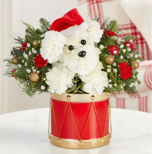 Santa Paws Drum ™ 