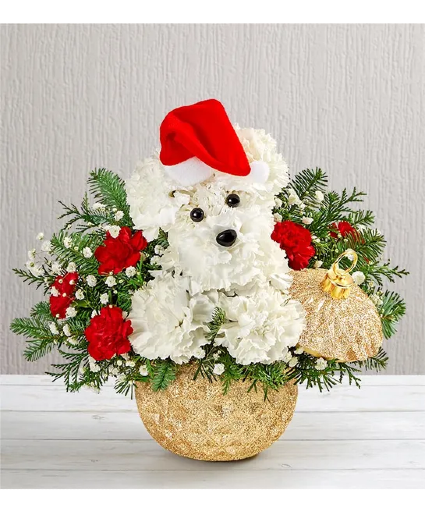 Santa Paws HOLIDAY