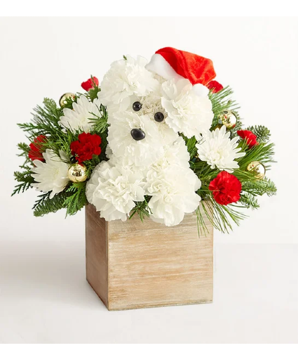 Santa Paws HOLIDAY