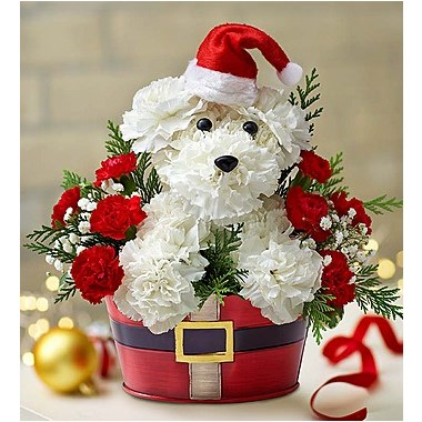 Santa Paws Holiday Floral Arrangement