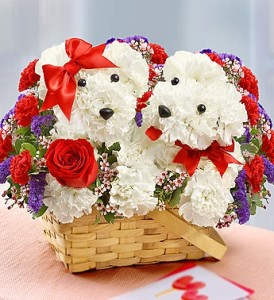 Santa's Little Helpers Carnations Red and White For that Special Holiday Gift