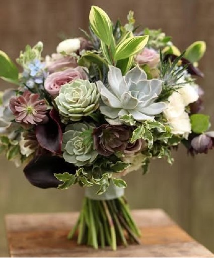  Sweet & Savvy Succulents 