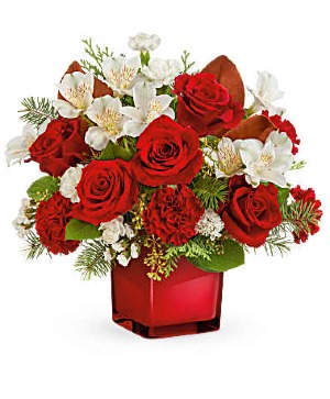Scarlet Splendor  Christmas