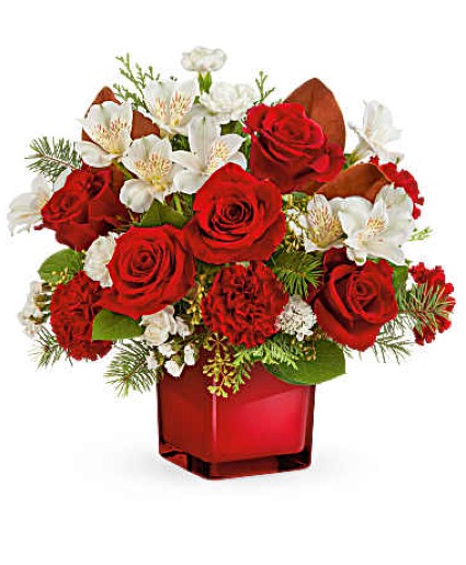 Scarlet Splendor  Christmas