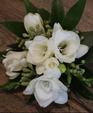 Scented White Freesia 