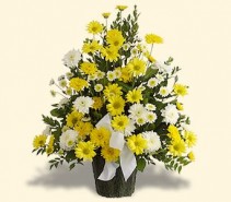 "YELLOW AND WHITE WONDER"  Shades of yellows and whites