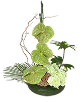 SEA OF GREEN Floral Arrangement