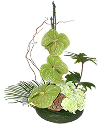 SEA OF GREEN Floral Arrangement