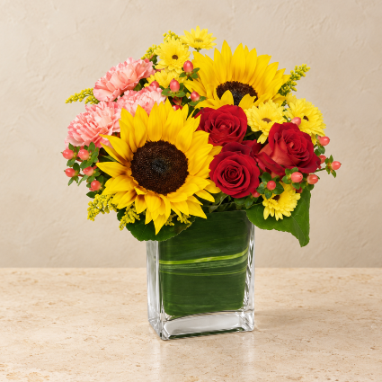 Season For Sunflowers 