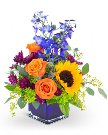 Season of Dreams Arrangement