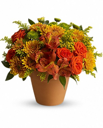 Season of Splendor T567-1 10.5"(w) x 9"(h)