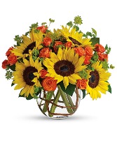 Season of Sunflowers 