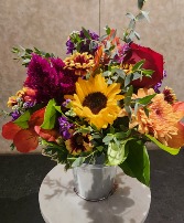 Seasonal Fall Selections 