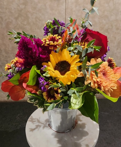 Seasonal Fall Selections 