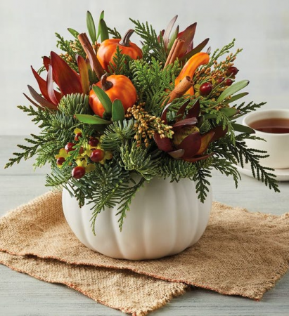 Seasonal Harvest 